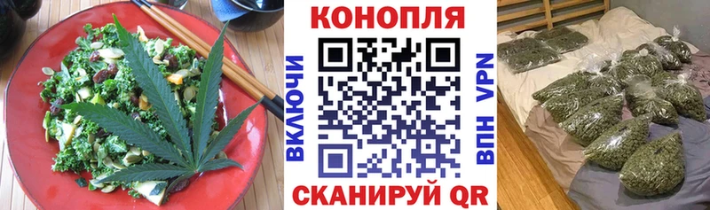 дарнет шоп  Петровск  Еда ТГК марихуана 