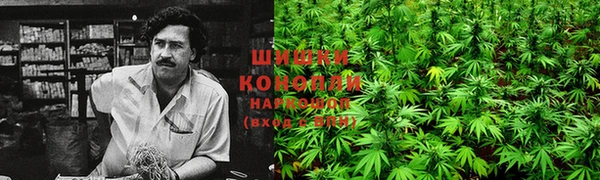 каннабис Алзамай
