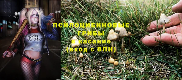 каннабис Алзамай