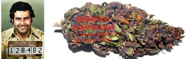каннабис Алзамай