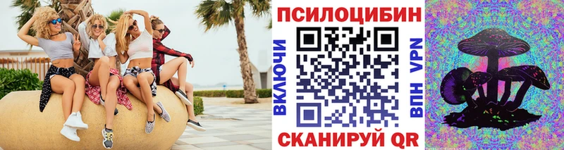 Псилоцибиновые грибы Cubensis  Петровск 